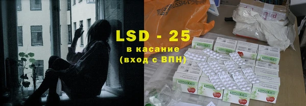 хмурый Абаза