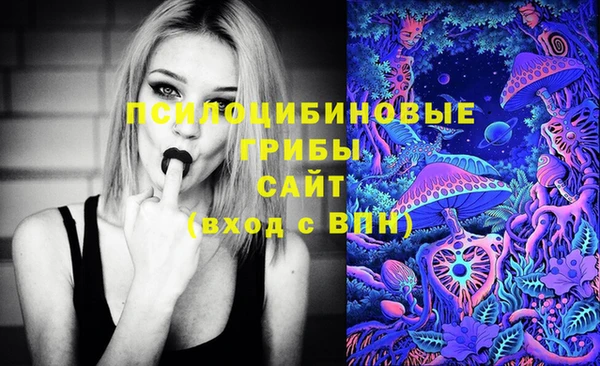 хмурый Абаза