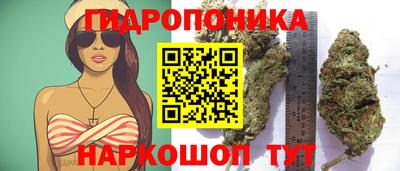 ALPHA PVP Гатчина