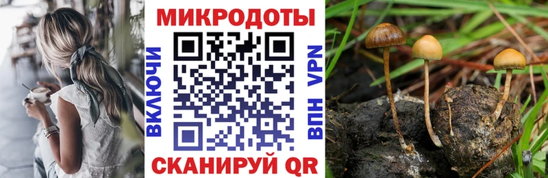 наркошоп  Лангепас  Галлюциногенные грибы прущие грибы 