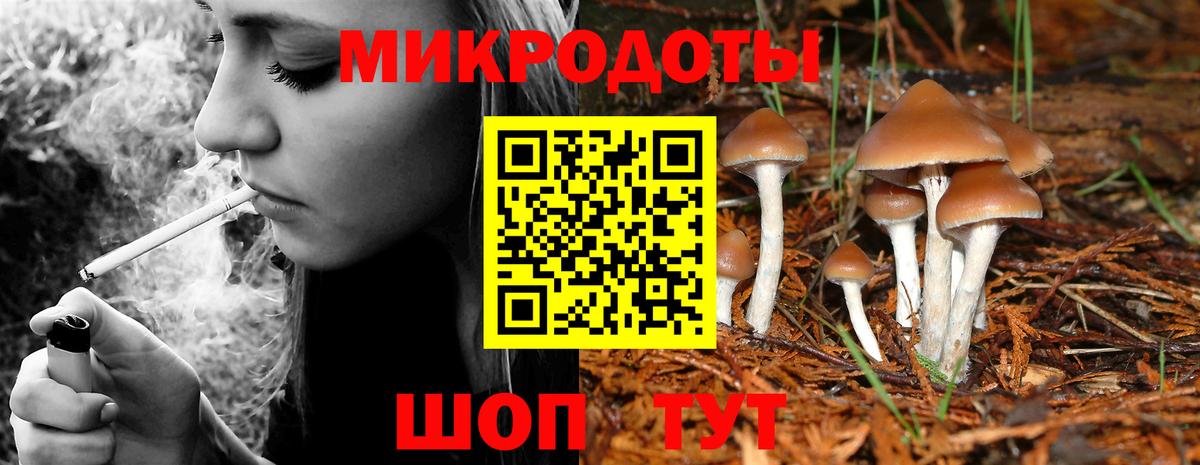 Лангепас  Галлюциногенные грибы Psilocybe  Вход с VPN 